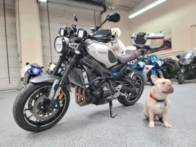 2016 Yamaha XSR 900