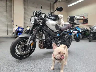 2016 Yamaha XSR 900