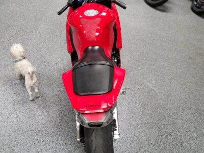 2013 Honda CBR600RR