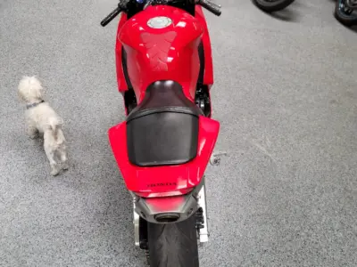 2013 Honda CBR600RR
