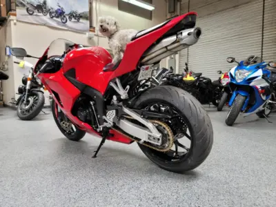 2013 Honda CBR600RR