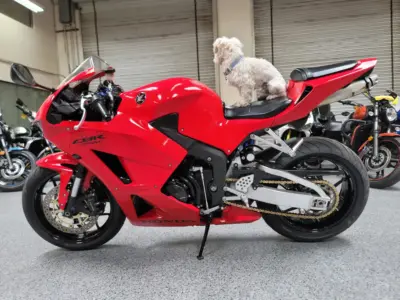 2013 Honda CBR600RR