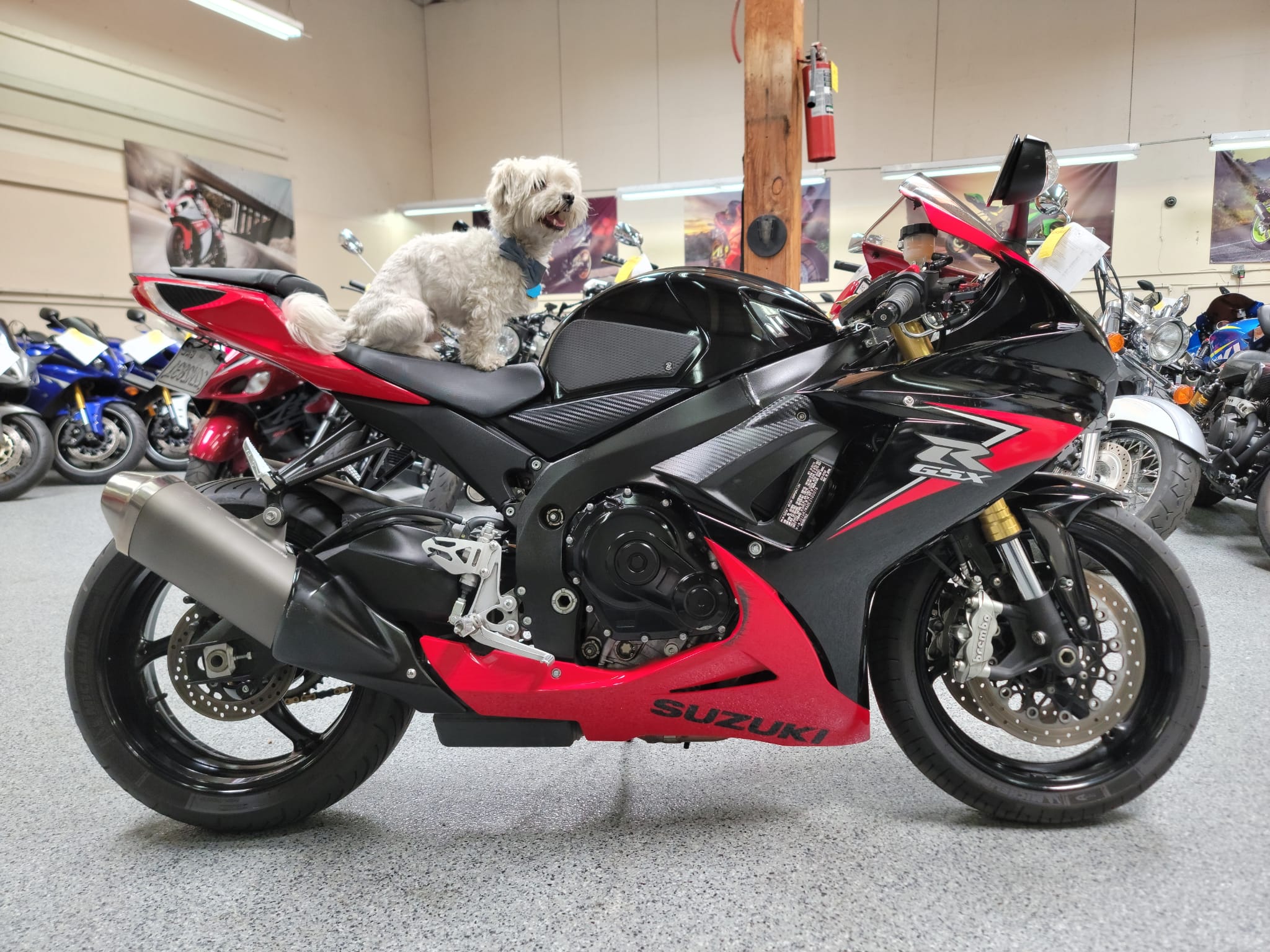 2014 Suzuki GSXR 750 SPECIAL EDITION AK Motors