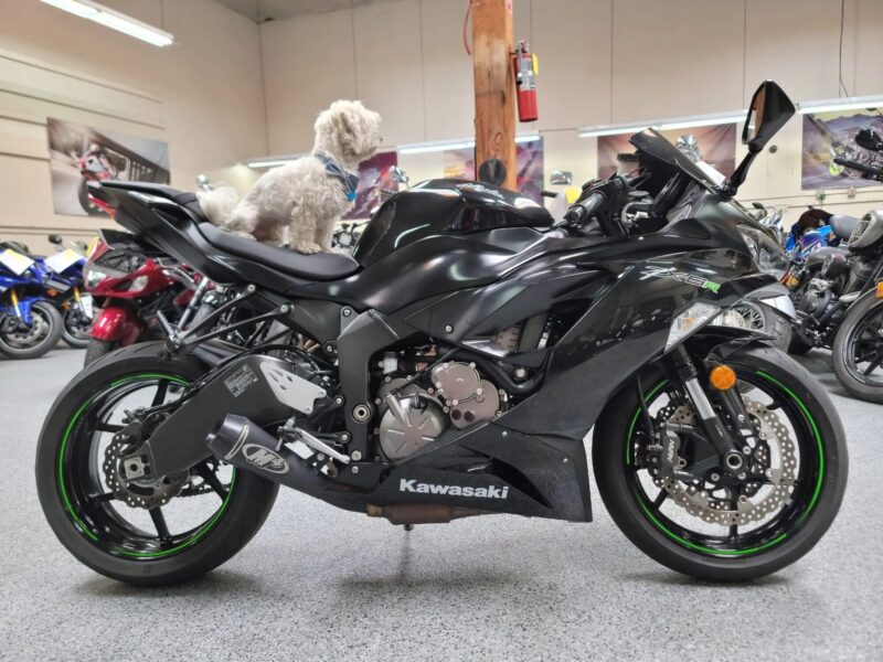 2019 Kawasaki Ninja 636 ZX6R