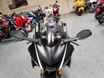 2017 Yamaha R6