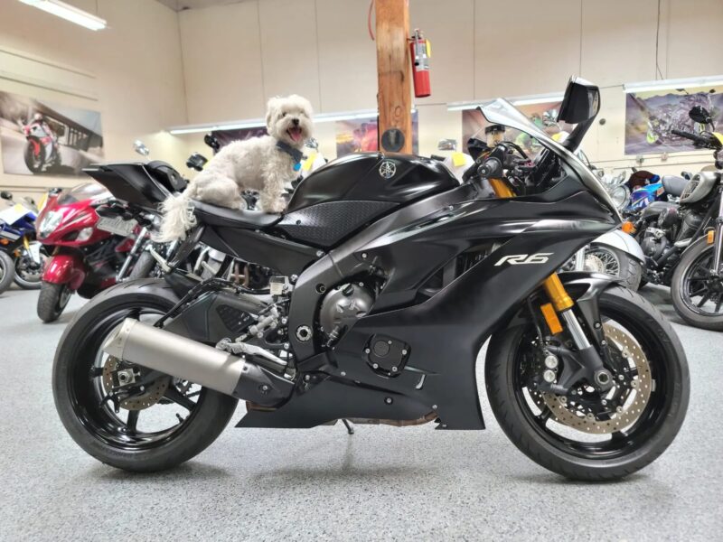 2017 Yamaha R6