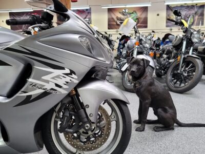 2009 Suzuki Hayabusa GSX1300R