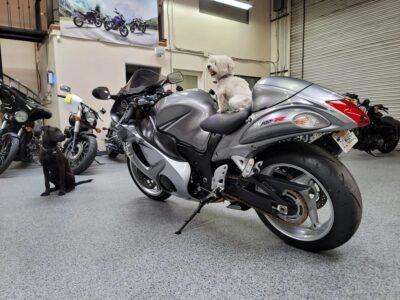 2009 Suzuki Hayabusa GSX1300R