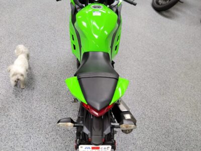 2015 Kawasaki Ninja 300 ABS