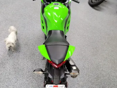 2015 Kawasaki Ninja 300 ABS