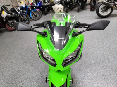 2015 Kawasaki Ninja 300 ABS