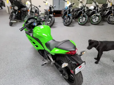2015 Kawasaki Ninja 300 ABS