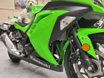 2015 Kawasaki Ninja 300 ABS