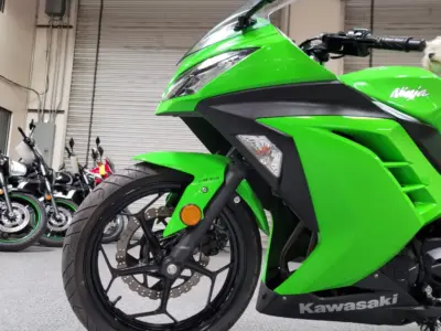 2015 Kawasaki Ninja 300 ABS