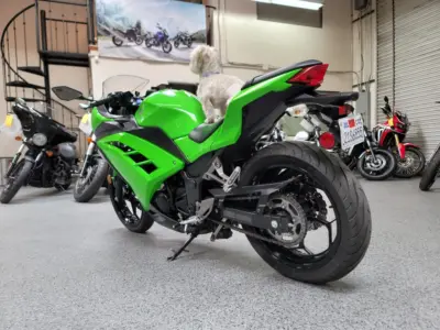 2015 Kawasaki Ninja 300 ABS