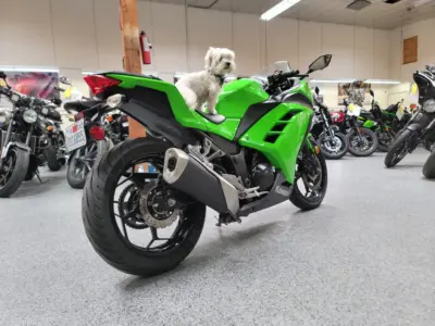 2015 Kawasaki Ninja 300 ABS