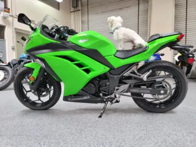2015 Kawasaki Ninja 300 ABS