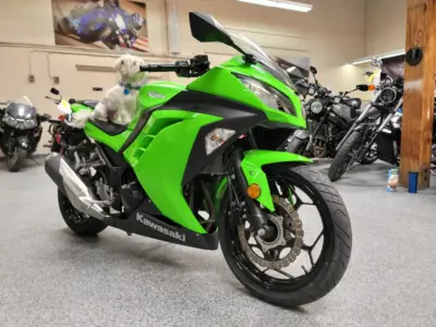 2015 Kawasaki Ninja 300 ABS