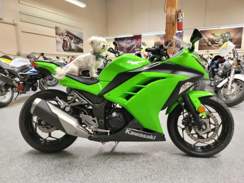 2015 Kawasaki Ninja 300 ABS