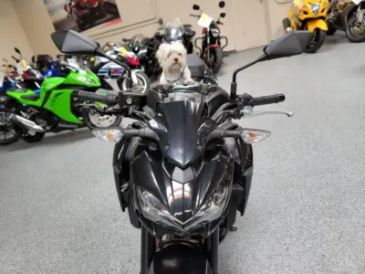 2017 Kawasaki Z900 ABS