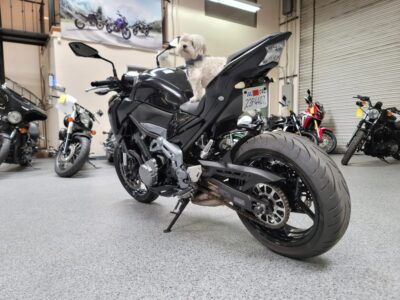 2017 Kawasaki Z900 ABS