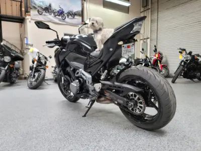 2017 Kawasaki Z900 ABS
