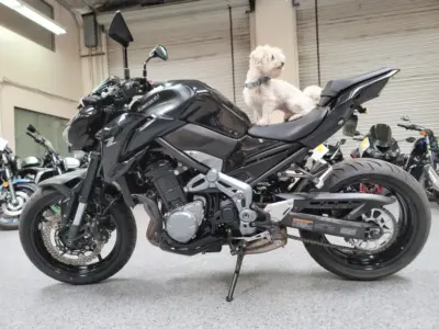 2017 Kawasaki Z900 ABS