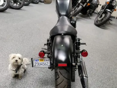 2014 Harley Davidson Sportster 883 Iron