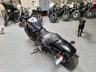 2014 Harley Davidson Sportster 883 Iron