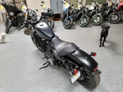 2014 Harley Davidson Sportster 883 Iron