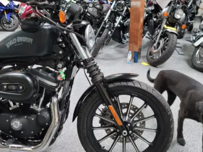 2014 Harley Davidson Sportster 883 Iron