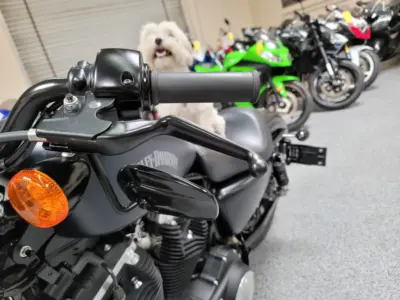2014 Harley Davidson Sportster 883 Iron