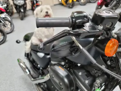 2014 Harley Davidson Sportster 883 Iron