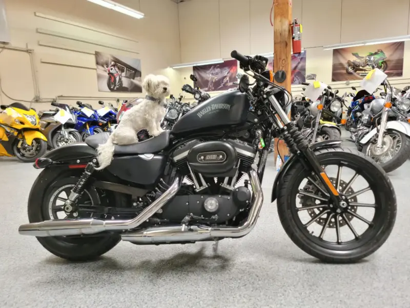 2014 Harley Davidson Sportster 883 Iron
