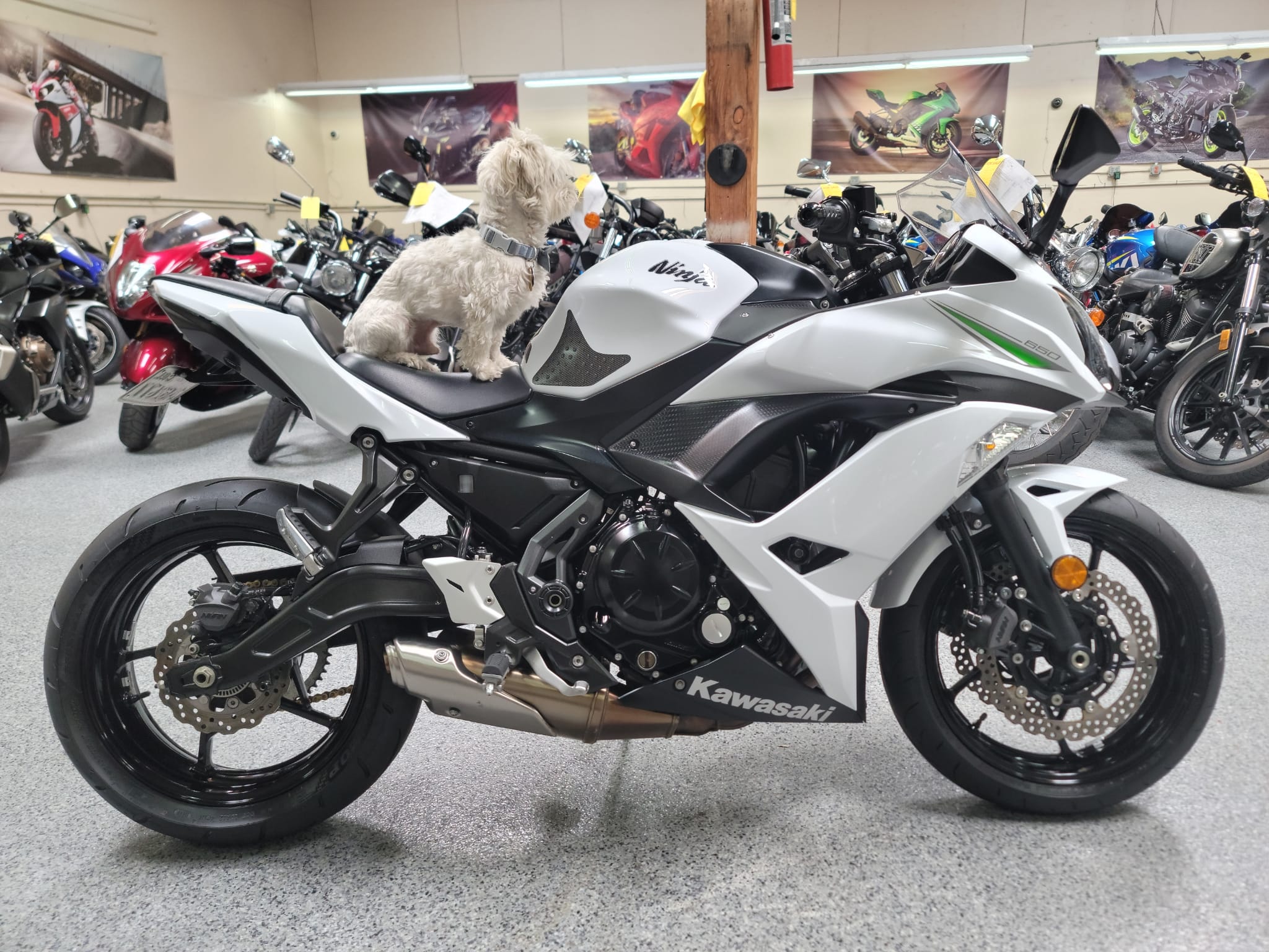 2017 kawasaki ninja 650 deals for sale near me