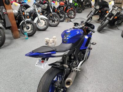 2015 Yamaha R6