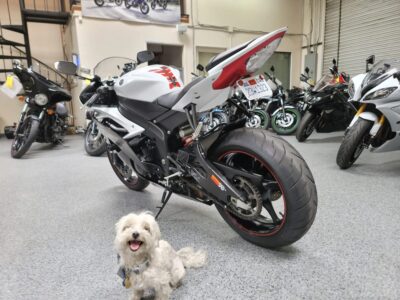 2012 Yamaha R6 RAVEN