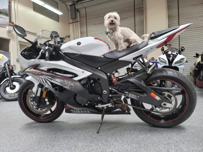 2012 Yamaha R6 RAVEN