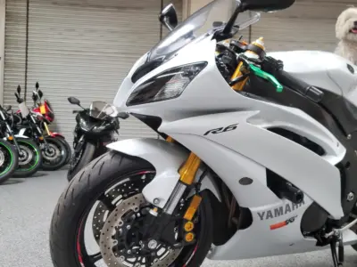 2015 Yamaha R6 PEARL WHITE