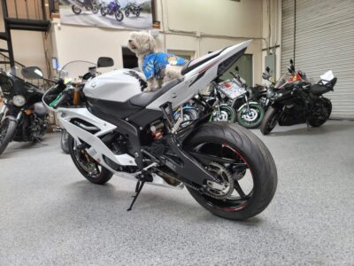 2015 Yamaha R6 PEARL WHITE