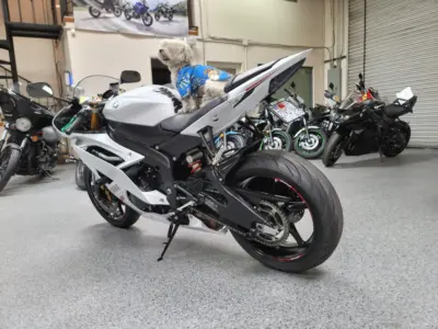 2015 Yamaha R6 PEARL WHITE