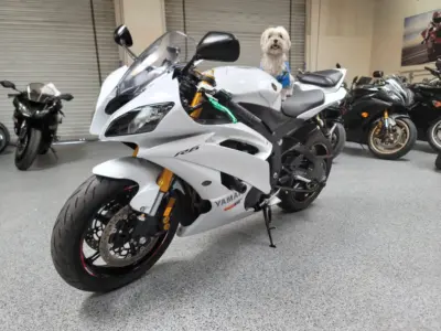 2015 Yamaha R6 PEARL WHITE