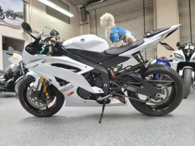2015 Yamaha R6 PEARL WHITE