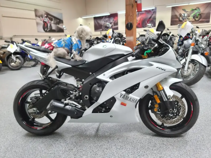 2015 Yamaha R6 PEARL WHITE