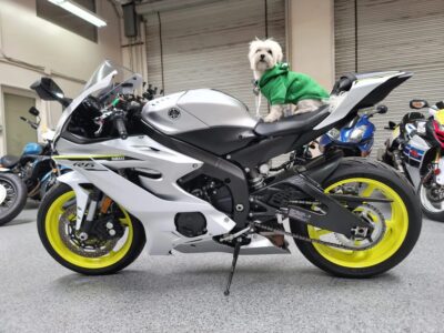 2017 Yamaha R6