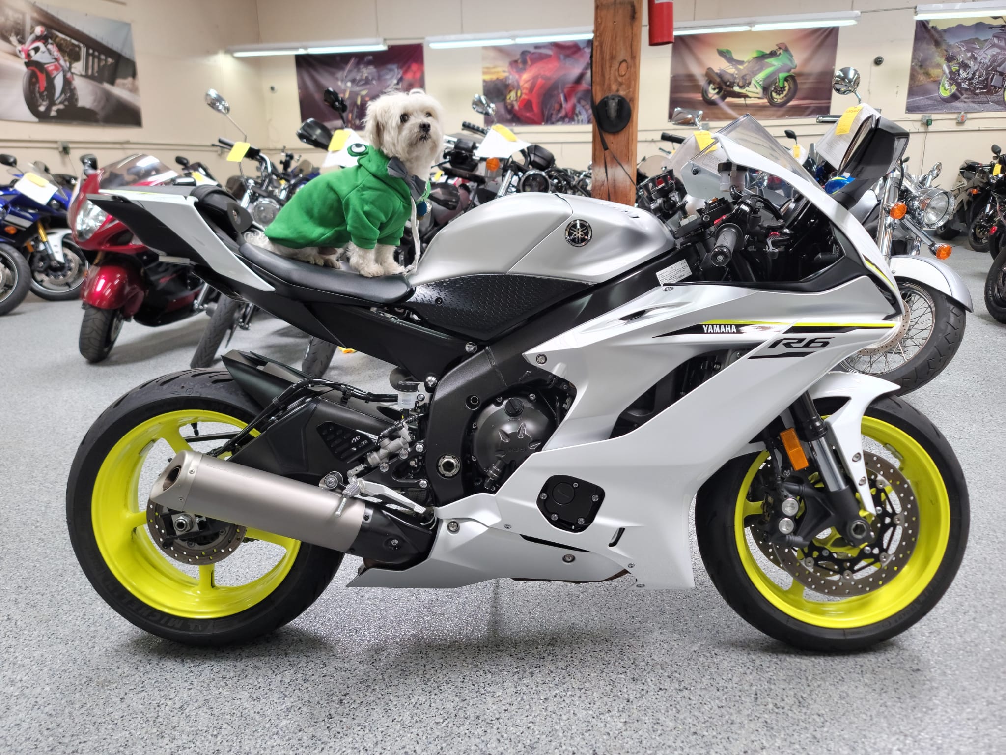 2017 yamaha r6 for sale hot sale near me