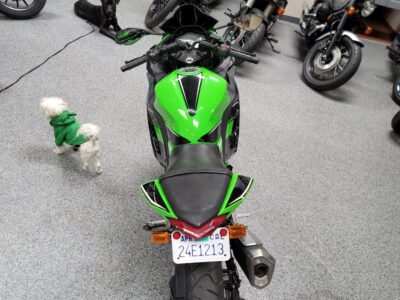 2013 Kawasaki Ninja 300