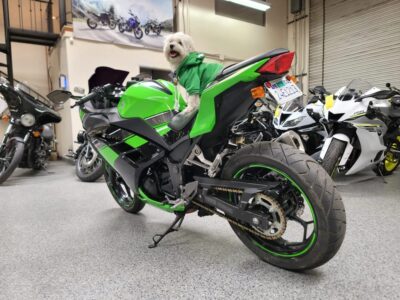 2013 Kawasaki Ninja 300