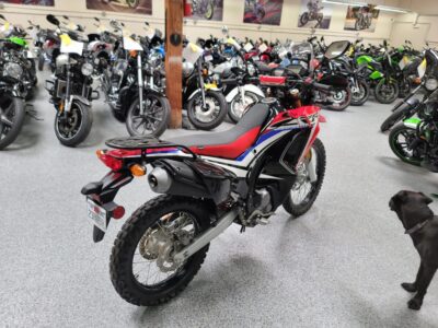 2017 HONDA CRF250L RALLY