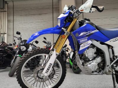 2017 Yamaha WR250R Dual Sport